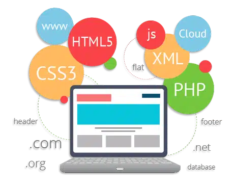 choose web development technology